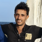 Professional tour guide